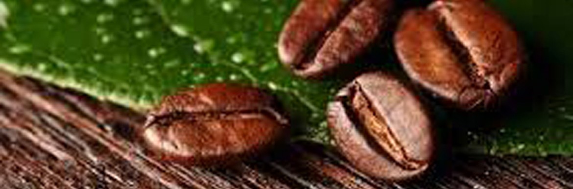 Single Origins koffiebonen